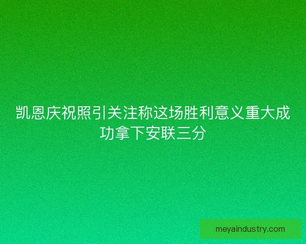 凯恩庆祝照引关注称这场胜利意义重大成功拿下安联三分