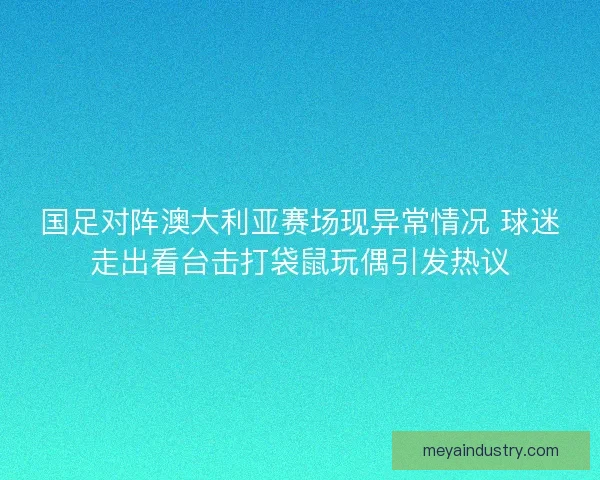 国足对阵澳大利亚赛场现异常情况 球迷走出看台击打袋鼠玩偶引发热议