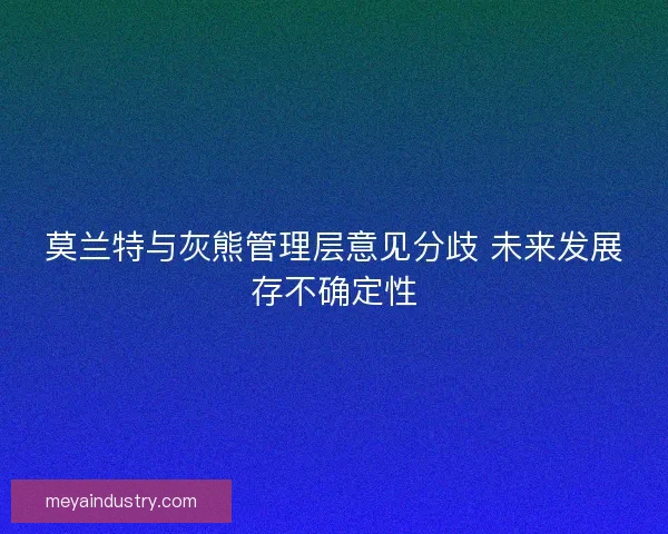 莫兰特与灰熊管理层意见分歧 未来发展存不确定性