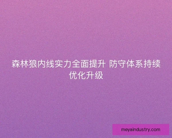 森林狼内线实力全面提升 防守体系持续优化升级 森林狼内线实力全面提升 防守体系持续优化升级