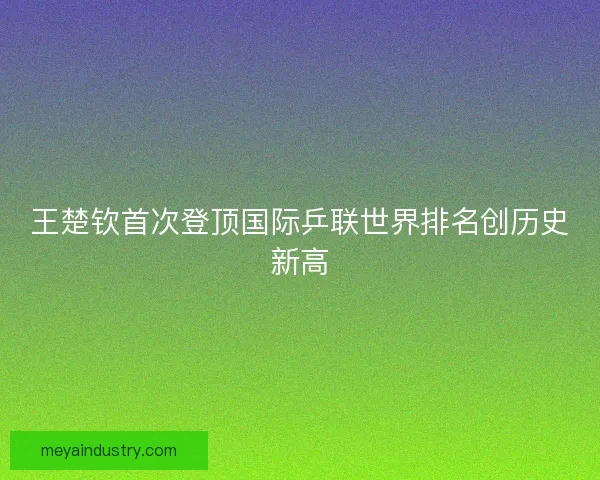 王楚钦首次登顶国际乒联世界排名创历史新高