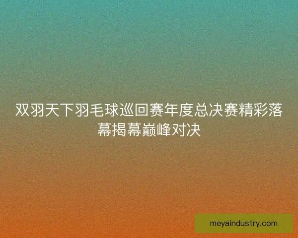双羽天下羽毛球巡回赛年度总决赛精彩落幕揭幕巅峰对决