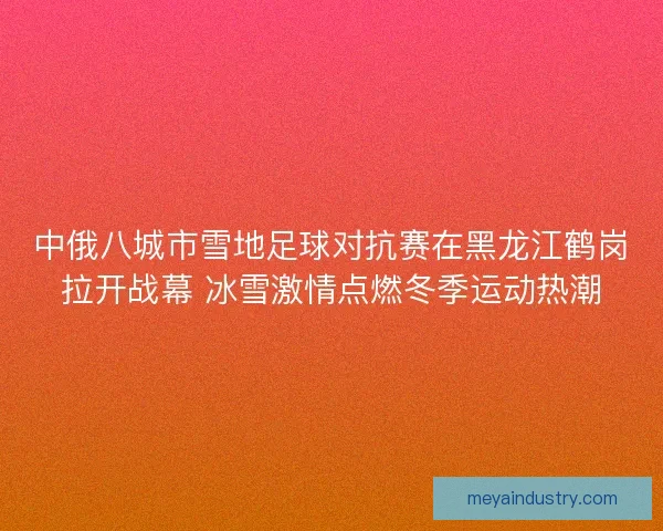 中俄八城市雪地足球对抗赛在黑龙江鹤岗拉开战幕 冰雪激情点燃冬季运动热潮 中俄八城市雪地足球对抗赛在黑龙江鹤岗拉开战幕 冰雪激情点燃冬季运动热潮