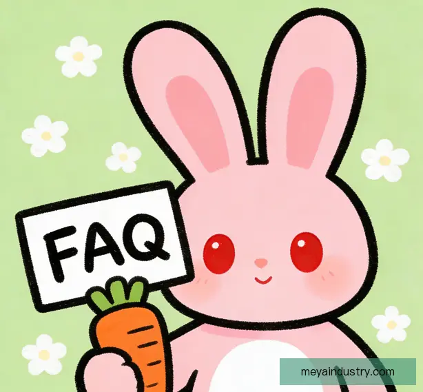 常见问题